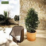 Winter protection for pots - &Oslash; 65 cm