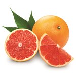 Citrus paradisi red - trunk 15-25 cm - total height 50-60 cm - pot 11 x 11 cm