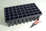 Tray for Palm seedlings 45-holes