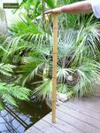 10 x Bamboo pole 120cm x &Oslash; 12-14 mm