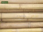 10 x Bamboo pole 180cm x &Oslash; 18-20 mm [pallet]