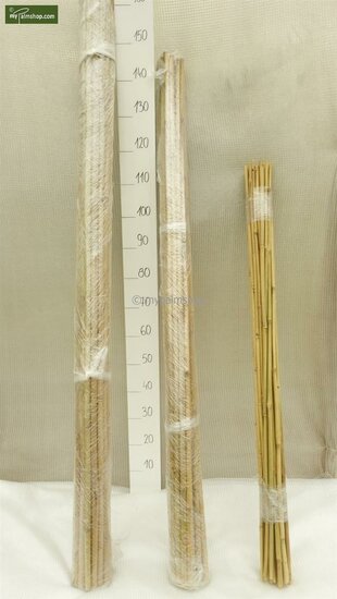 25 x Bamboo Plant Stake -Tonkin 91 cm