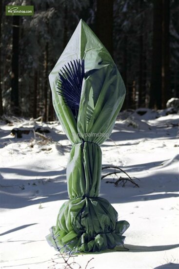 Winter protection for plants pyramid form height 200 cm