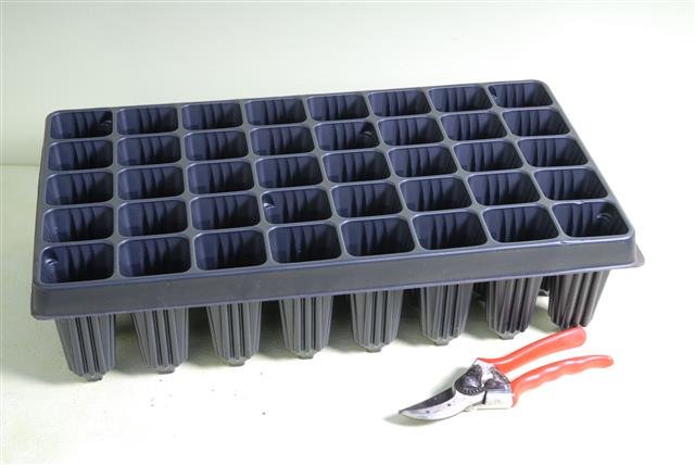 Tray for Palm seedlings 40-holes