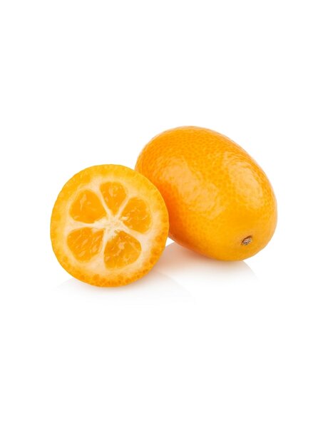 Citrus kumquat - trunk 15-25 cm - total height 40-50 cm - pot Ø 15 cm