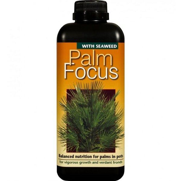 Palm focus 1000 ml