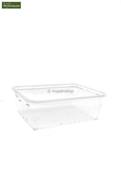 Seed germination boxes