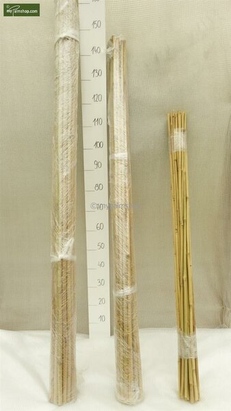 25 x Bamboo Plant Stake - Tonkin 180 cm [pallet]