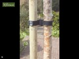 Tree binder nails_