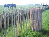 Chestnut fence - 70 cm x 460 cm_