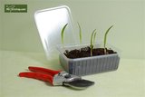 Seed germination boxes_