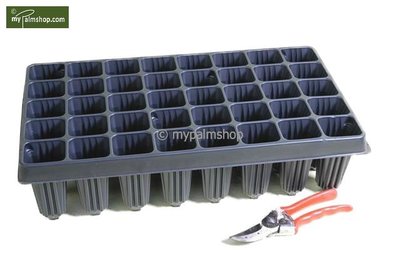Tray for Palm seedlings 28-holes