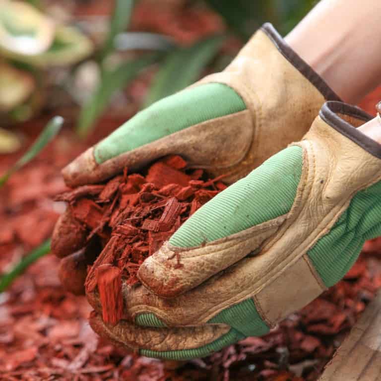 Landscape gardening