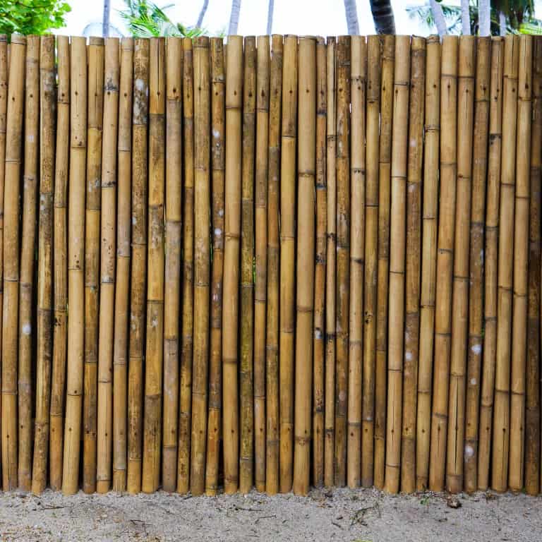 Fences and hedges