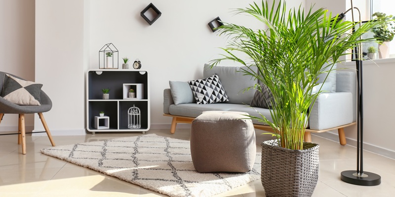Decoration