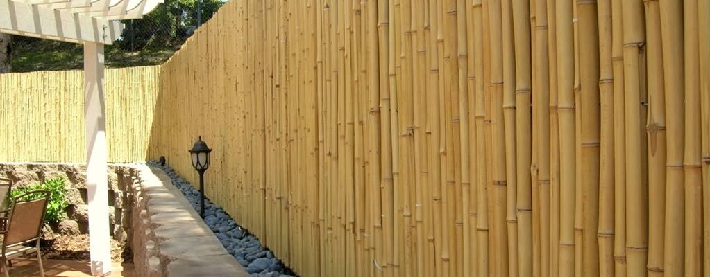 Fences and hedges