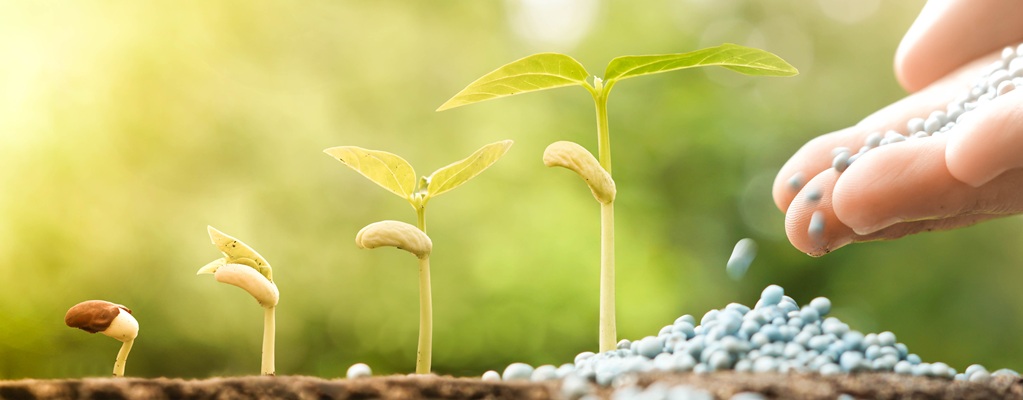 Fertilizers