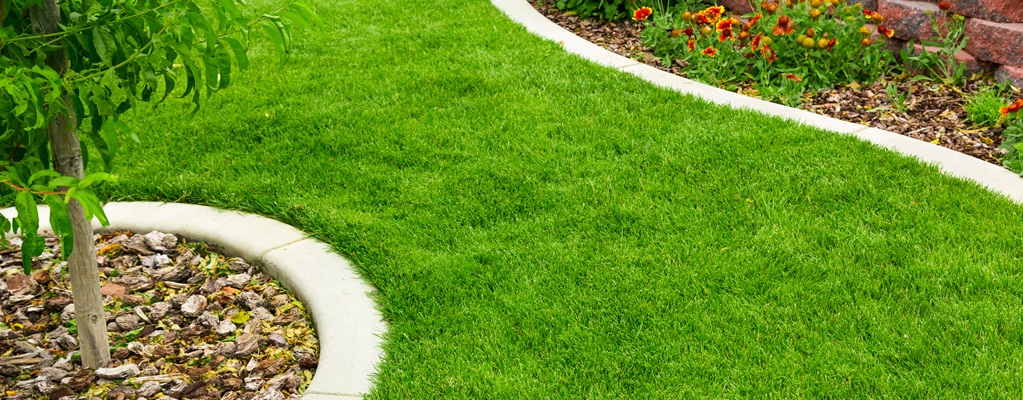 Grass accessories