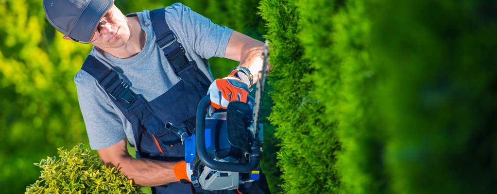 Hedge and shrub accessories