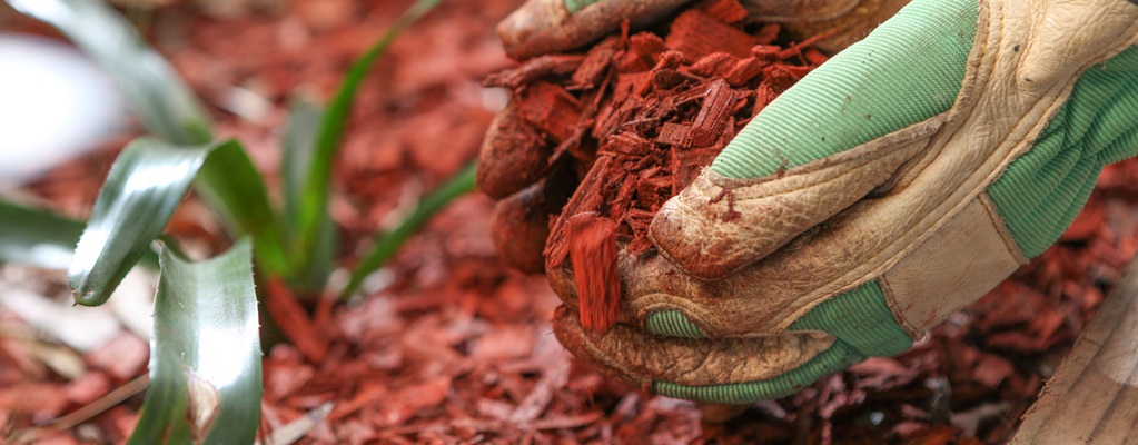 Landscape gardening
