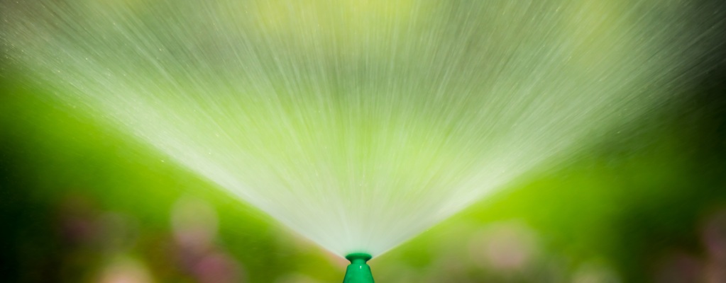 Watering