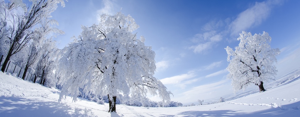 Winter protection