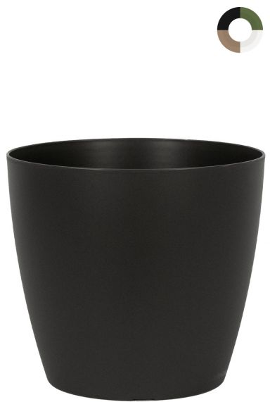 San Remo Pot