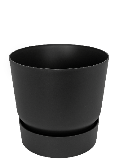 Greenville Pot