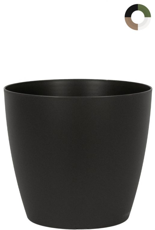 San Remo Pot