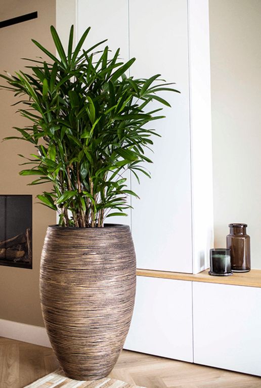 Capi Nature Rib Vase