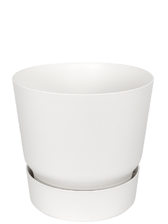 Greenville Pot