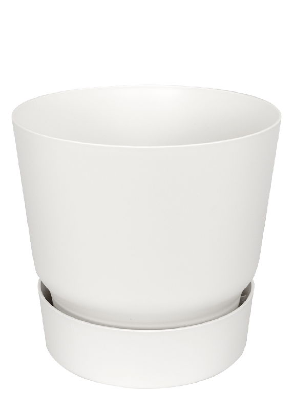 Greenville Pot