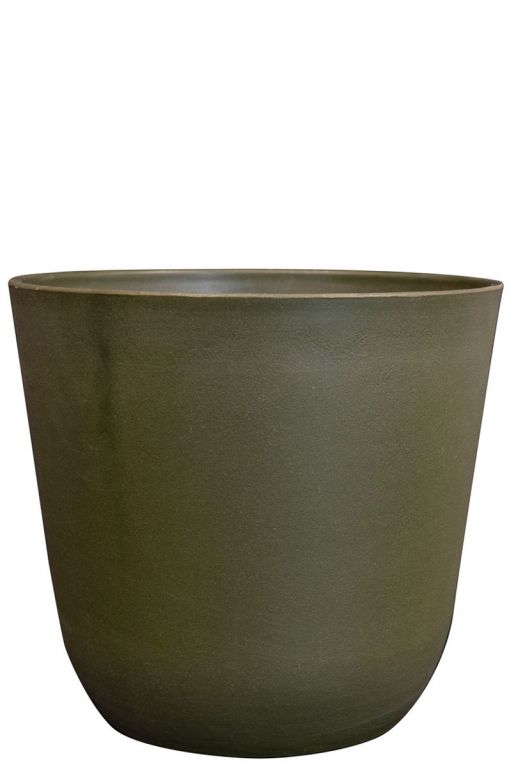Palermo green