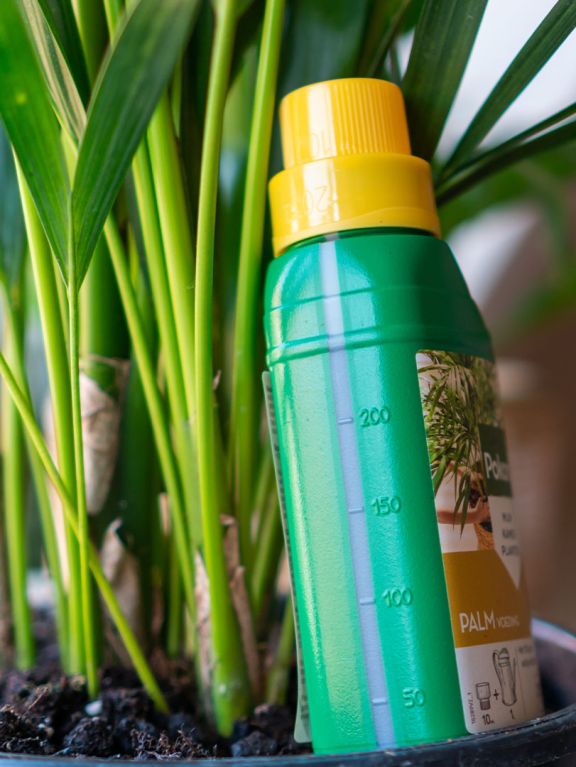 Pokon Palm Fertilizer - 250 ml