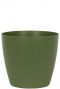 San Remo Green