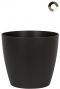 San Remo Pot